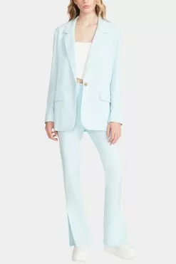 Steve Madden Kaira Boyfriend Blazer